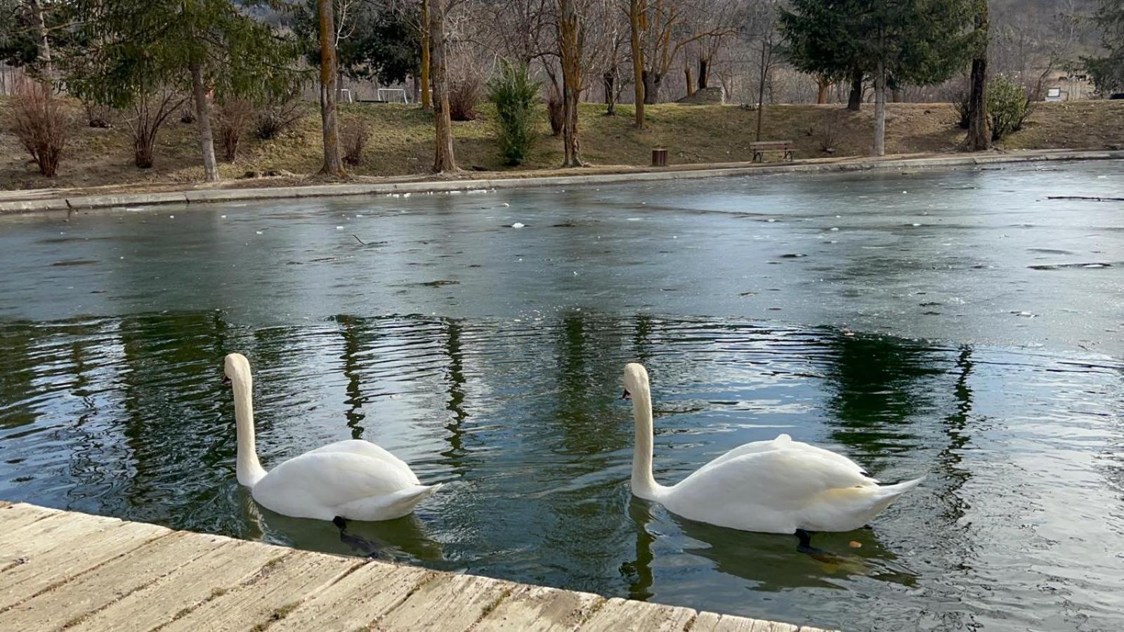 Apartament Del Llac 奥塞雅 外观 照片